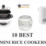 10 Best Mini/ Small Rice Cooker For Small Families and Single Person