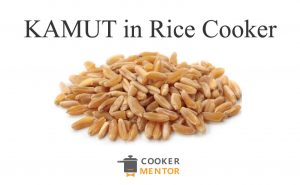 What Is Kamut & How To Cook Kamut in Rice Cooker?