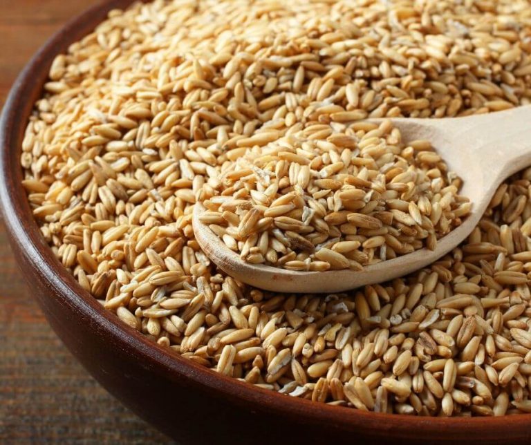 What Are Oat Groats & How To Cook Oat Groats In Rice Cooker? Cooker