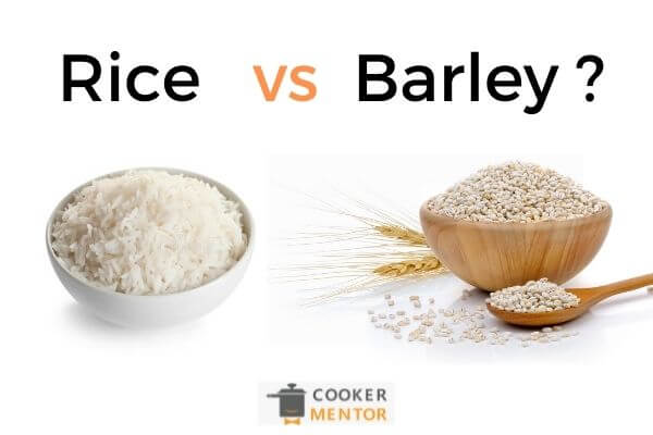 Barley vs Rice