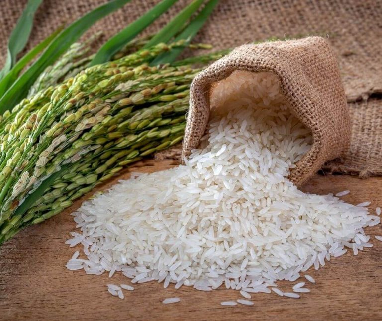 is-jasmine-rice-good-for-diabetics-cooker-mentor-2023