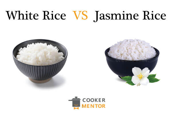 WHITE RICE VS JASMINE RICE